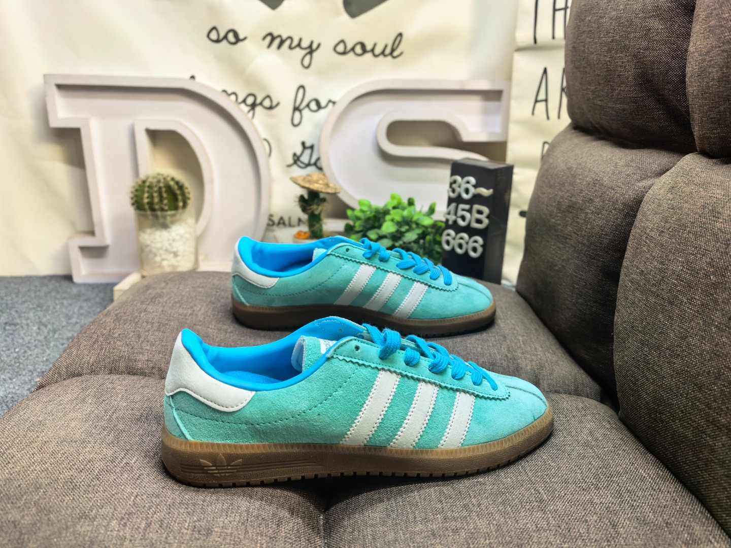 adidas Bermuda END Shoes