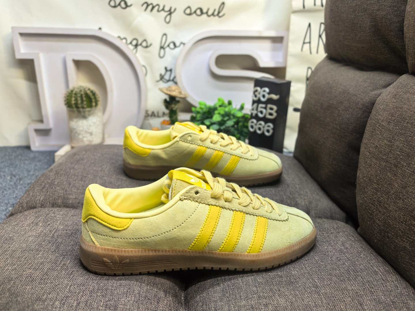 adidas Bermuda END Shoes