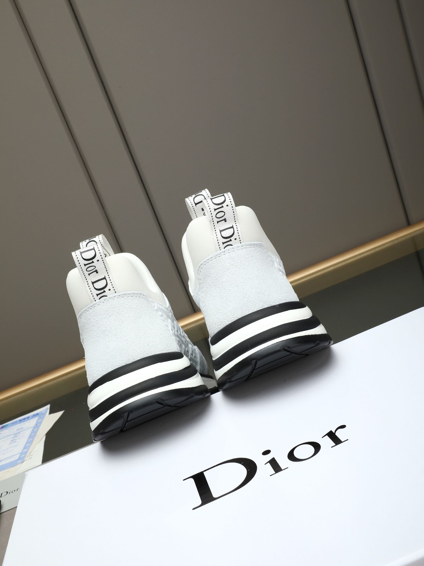 Dior Sneakers