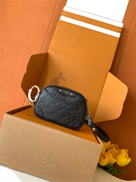 Louis Vuitton Tiny Camera Bag