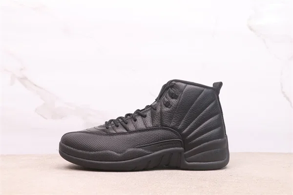 Air Jordan 12 CT8013-010