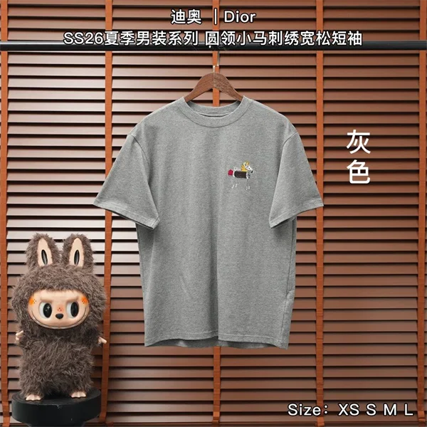 Dior T-Shirt — Grey