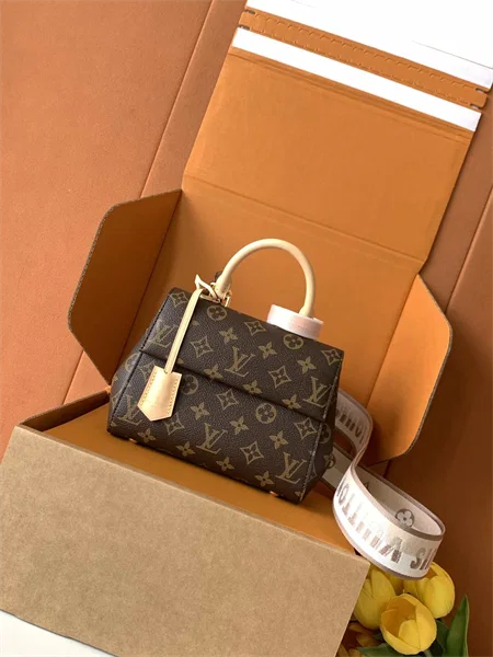 Louis Vuitton Cluny Mini — M46055